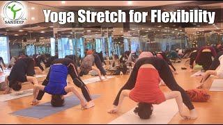 Yoga Stretch for Flexibility | 50 Minute Hatha Yoga Class | Yoga With Sandeep | Vietnam