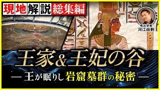 【完全保存版】王家&王妃の谷：古代エジプトの“美しすぎる”墓、続々登場！（ツタンカーメン・セティ1世・ラメセス6世・ネフェルタリ・考古学・歴史・遺跡）