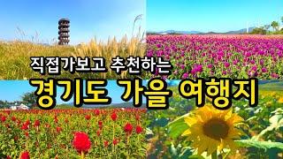 가을에 반드시 가야 하는 경기도 당일치기 Best5 /9월 10월 가을 꽃나들이 명소 가을축제 /여행지 추천 국내여행 서울근교 경기도여행 드라이브