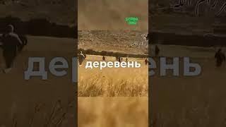 Палестинцы встали телом за урожай!