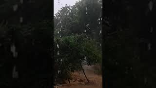 Ramesh Maurya70 