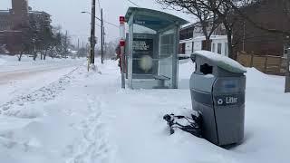 Toronto Canada  Snow Situation NOW | Sunday 9:00 AM ( 02 /16 /2025)