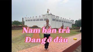 Nam bán trà đang ở đâu