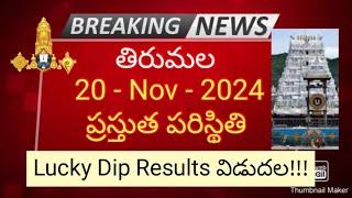 tirumala 20 november 2024 present situation sarva darshan | how to check lucky dip results ttd