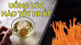 Nên uống Đông Trùng Hạ Thảo vào lúc nào trong ngày tốt nhất? | Tư vấn: 0911.6868.24