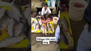 Village fish  Market vlog life fish dish #travel #vlog #fishing #vlogger