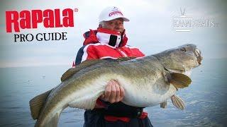 Rapala Pro Guide | Halibut and Cod Fishing at Sørøya