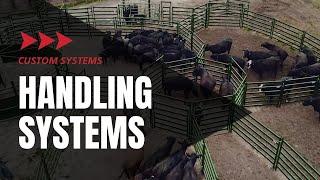 Custom Cattle Handling System | Safe and Efficient Cattle Handling | Showcase