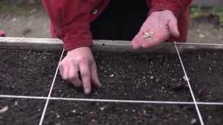 The Garden Minute: How to Plant a Seed