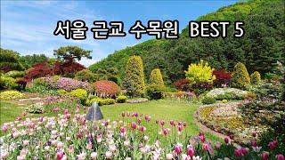 [서울근교 수목원 BEST 5] 서울근교 가볼만한곳, Arboretum, Near Seoul