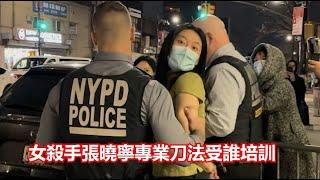 李進進案女凶手張曉寧審判追蹤，六項罪名全成立，她要服刑多少年？《建民論推墻第2458》