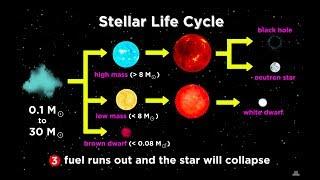 The Life and Death of Stars: White Dwarfs, Supernovae, Neutron Stars, and Black Holes