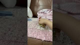 자 누나 이거 발라