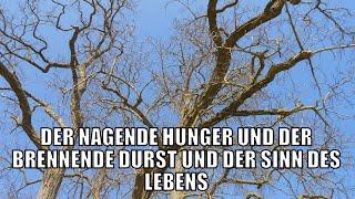 Hunger und Durst und der Sinn des Lebens