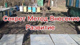 214. Каким методом я разгоняю весной пчелосемьи