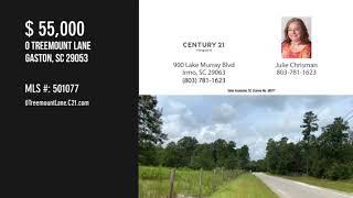 Land For Sale: 0 Treemount Lane, Gaston, SC 29053