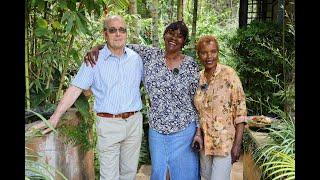 Nature's Sanctuary: The Garden of a Thousand Shades of Greens