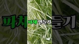 파채 집에서 간단하게 만들기#파채#파채만들기#대파#파채써는법