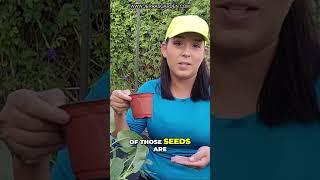Grow Your Garden: Essential Seed Sowing Techniques