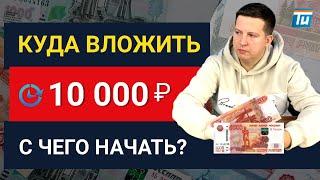 Куда  вложить 10 000 рублей? Почему инвестору-новичку выгодно вкладывать в образование?