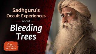 Sadhguru’s Occult Experiences | Sadhguru Exclusive