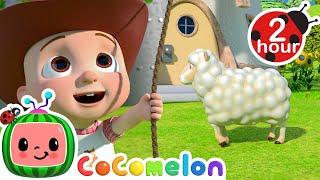Catching Ba Ba Black Sheep  CoComelon Nursery Rhymes and Kids Songs | 2 HOURS | After School Club