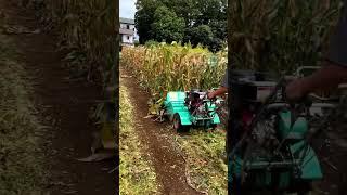 Máy băm này thì tiện lắm #sunfarm #batphuco