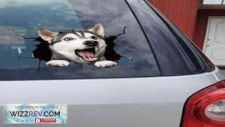1pc Doodle Style Car Sticker With Cracks & Husky Dog Design Review