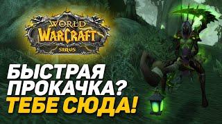 БЫСТРАЯ ПРОКАЧКА ПЕРСОНАЖА НА WOW SIRUS