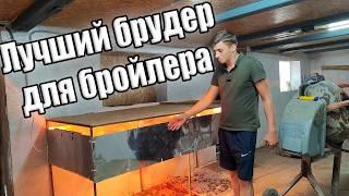 Лучший брудер для птицы!