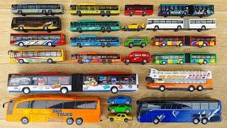 Buses Collection - Long Buses, Small Buses, Buses Colors & More! A great selection of buses