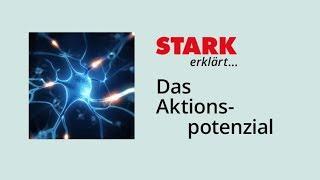 Das Aktionspotenzial | STARK erklärt