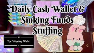 Daily Cash Envelopes and Sinking Funds Stuffing!  Fun!  #budget #financialfreedom #cash #money