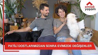 Patili Dostlarımızdan Sonra Evimizde Değişenler - HurdaHane X Emlak Yaşam