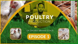 Poulry Production Episode 1