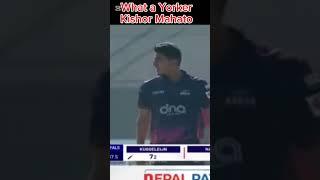 What a Yorker by Kishor Mahato // NPL