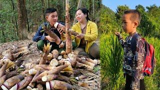 Taking Dung to school I Harvest bamboo shoots early in the season