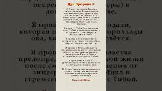 Сильное дуа о судьбе, вере и встрече с Творцом. #хадис #сунна #религия #дуа