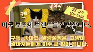 미국 보조제, 영양제 브랜드 순위와 등급에 대하여서 설명합니다.
