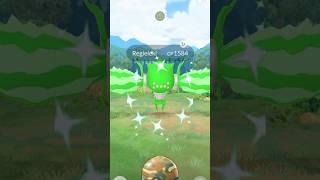 Getting Lucky With️Shiny Regieleki Raid in #pokemongo