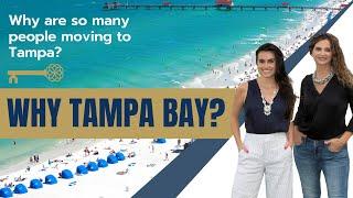 WHY TAMPA BAY?