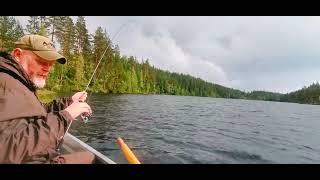 Local Trout Fishing Innlandet Norway