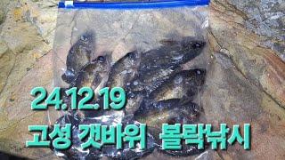 경남 고성 갯바위 볼락(24.12.19)11물