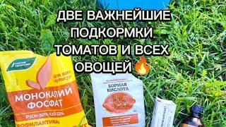ДВЕ ВАЖНЕЙШИЕ ПОДКОРМКИ ТОМАТОВ И ВСЕХ ЦВЕТУЩИХ ОВОЩЕЙ#томаты #овощи #подкормки #огород #огурцы
