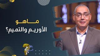 مـــــاهـــو الأوريــم والتمـيم؟| برنامج حقك تسأل - الأخ عياد ظريف