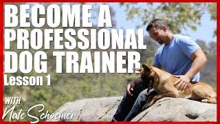 Become a Professional Dog Trainer. Lesson 1 - Terminology