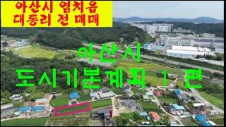 대동리 전원주택지 및 아산시 도시기본계획 1.