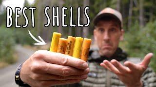 BEST Shotgun Shells for Grouse Hunting and Small Game Hunting