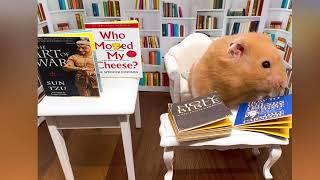 Hamster in the library with his Bible and his favourite self help books