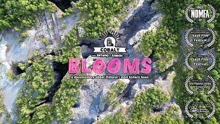 Blooms: A Documentary About the Historic Mining Town of Cobalt, Ontario (FULL MOVIE)